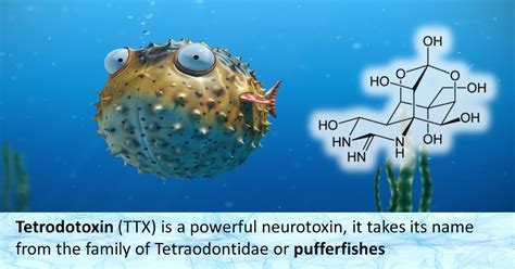 Tetrodotoxin