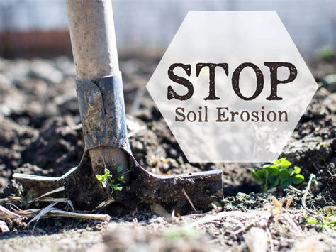 Regional Soil Erosion Prevention Tips - American Lifestyle Magazine ...