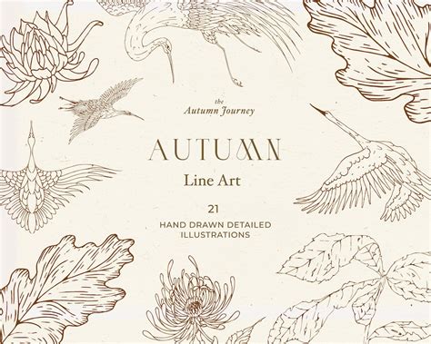 Autumn Botanical Line Art Illustration, Autumn Clip Art, Hand Drawn ...