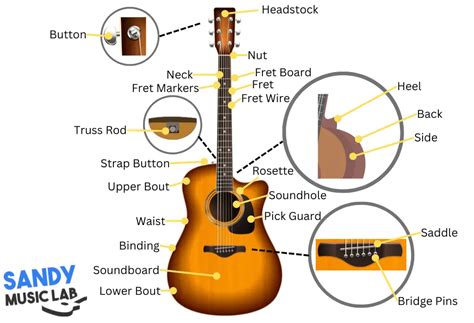 Acoustic Guitar Anatomy (Parts of The Acoustic Guitar Diagram)