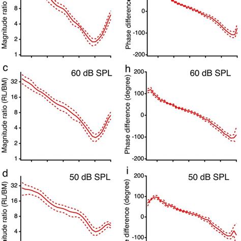 Group delay differences between the reticular lamina and basilar ...