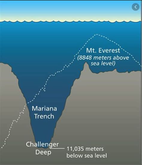 The Mariana Trench