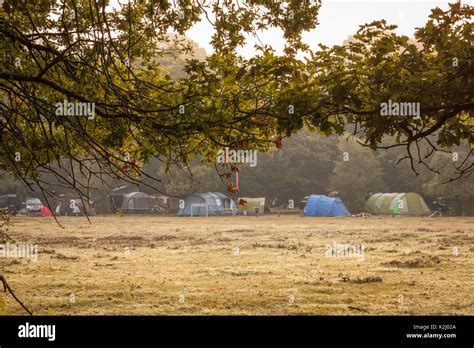 New forest camping Stock Photo - Alamy