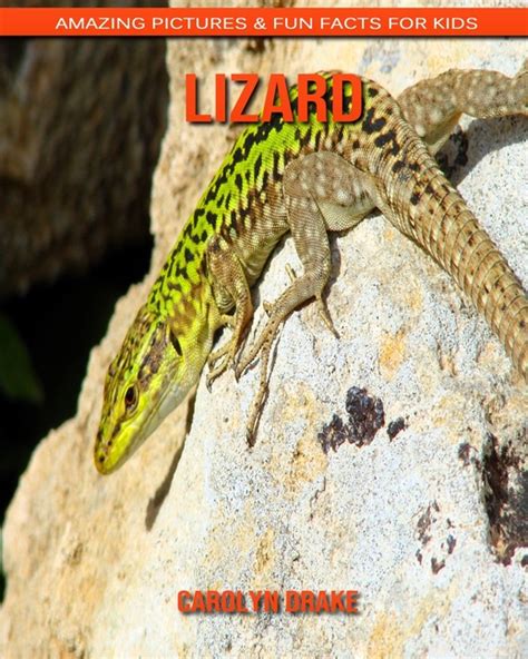 Lizard : Amazing Pictures & Fun Facts for Kids (Paperback) - Walmart ...