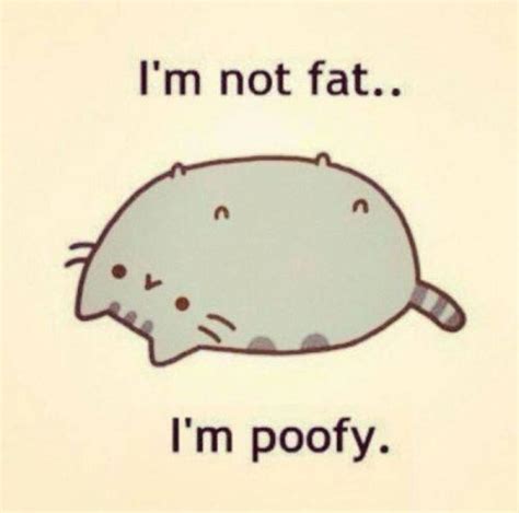 Best Fat Cat Memes - Funny Fat Cat Pictures with Quotes