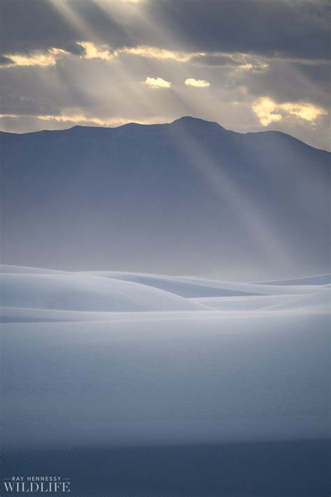 White Sands Sunset — Ray Hennessy Wildlife