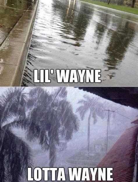 Lil Wayne / Lotta Wayne meme : r/raining