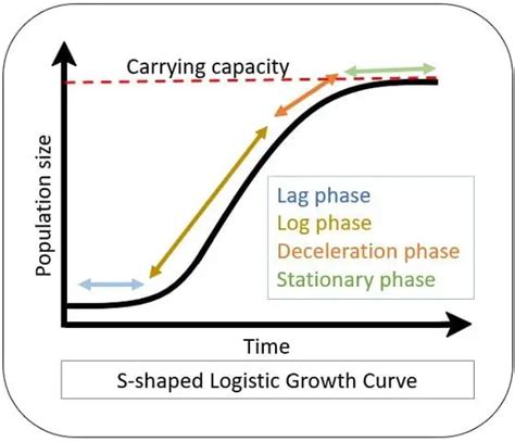 Difference Between Exponential and Logistic Growth (with Comparison ...