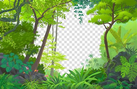 Jungle Euclidean Tropical rainforest, Cartoon Forest, forest ...