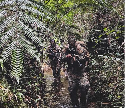 DVIDS - Images - 1SFG (A) Jungle Warfare Training [Image 2 of 6]