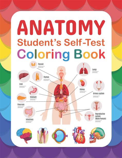 Buy Anatomy Student's Self-Test Coloring Book: Human Anatomy Learning ...