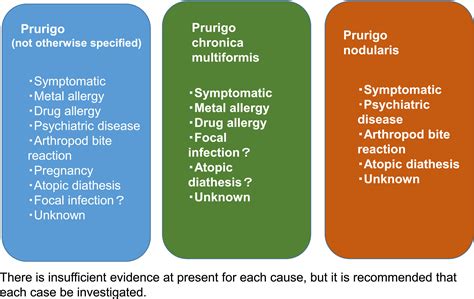 2020 guidelines for the diagnosis and treatment of prurigo - Satoh ...