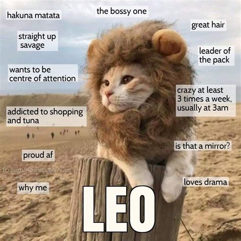 Pin by Francie Gribble on LOL Cats | Leo zodiac facts, Zodiac signs leo ...