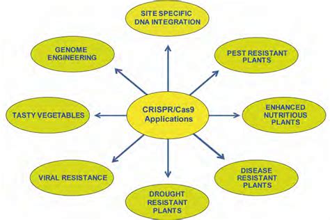 Applications of CRISPR/Cas9 in agriculture, nutrition, health and ...