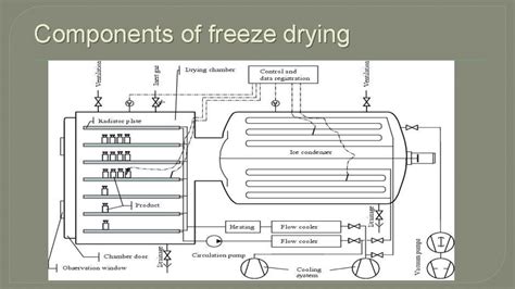 Freeze Drying INTRODUCTION Lyophilization or freeze drying is