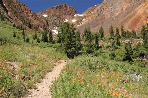 Lundy Canyon Waterfalls - Wildflowers, Waterfalls, and Lakes