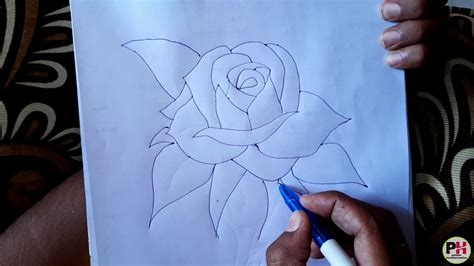 How to draw a rose || gulab phool drawing, gulab phool kaise banate ...