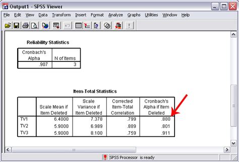 Cronbach's Alpha with SPSS