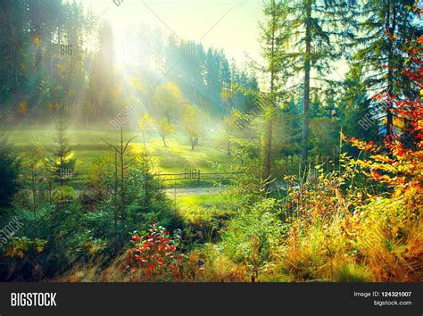 Autumn Nature Scene. Beautiful Image & Photo | Bigstock