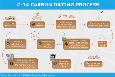 Welcome to Carbonosaurus – Carbon-14 Dating