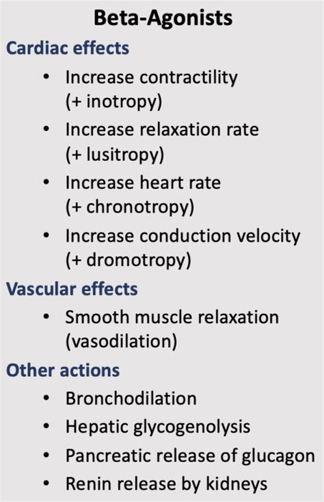 CV Pharmacology | Beta-Adrenoceptor Agonists (β-agonists)