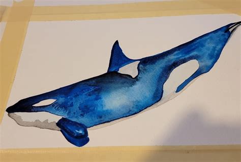 Orca Whale Watercolor painting - Lyndsay Newton | Skillshare Student ...