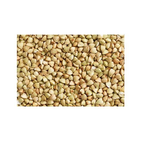 Buckwheat Seeds Manufacturer,Supplier,Exporter