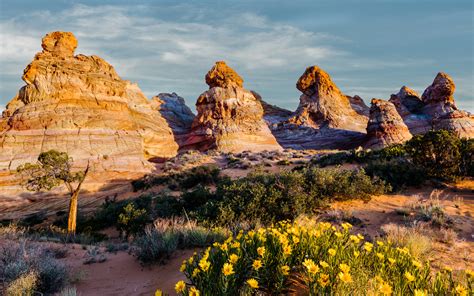 Share the Experience | Vermilion Cliffs National Monument