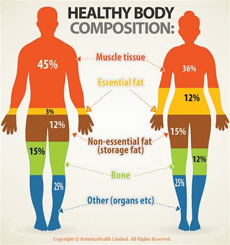 Body Composition FAQs