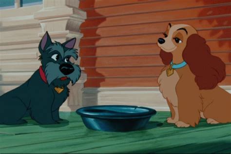 Lady and the Tramp - Disney's Lady and the Tramp Image (9545790) - Fanpop