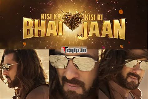 Kisi Ka Bhai Kisi Ki Jaan Movie Download In Hindi 480p, 720p Filmyzilla ...