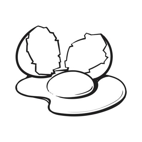 broken egg clipart 20 free Cliparts | Download images on Clipground 2024