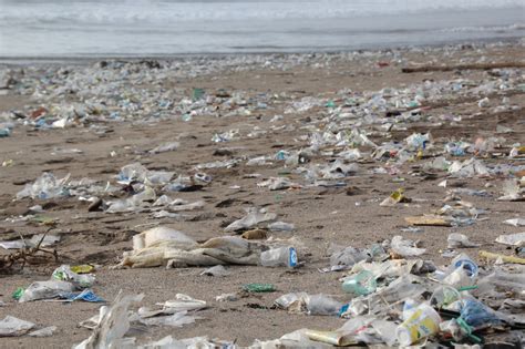 Plastic Litter in the Ocean Will Triple By 2040 if We Do Nothing To ...