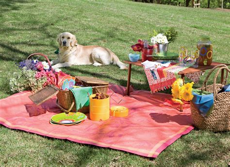 Creative Ideas for Packing the Perfect Backyard Summer Picnic ...