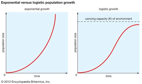 Logistic curve | statistics | Britannica