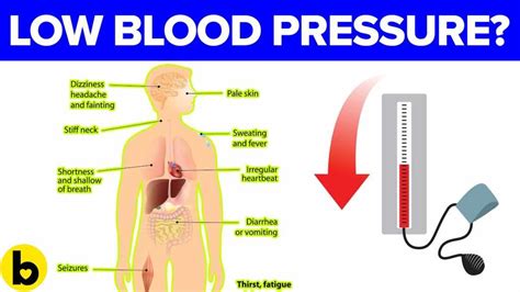 What Causes Low Blood Pressure What Causes Low Blood Pressure | Free ...