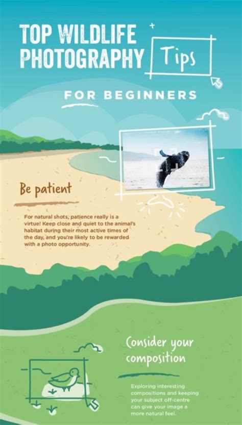 Top Wildlife Photography Tips | Infographics Zone| Submit Infographics