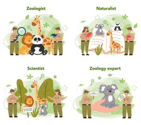 Cartoon Of Zoologist Illustrations, Royalty-Free Vector Graphics & Clip ...