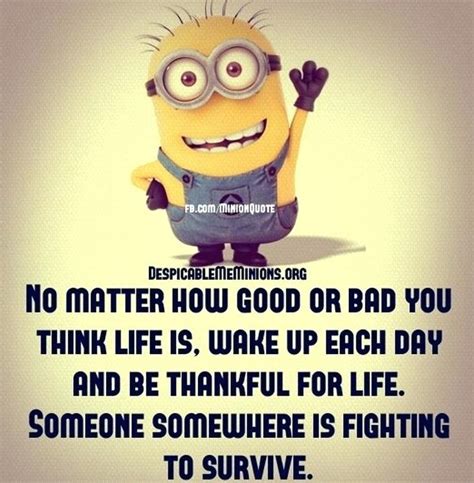 September Quotes Funny | Funny minion quotes, September quotes, Funny ...