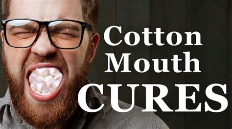 Cottonmouth Cure - The Best Tips for Curing Cottonmouth