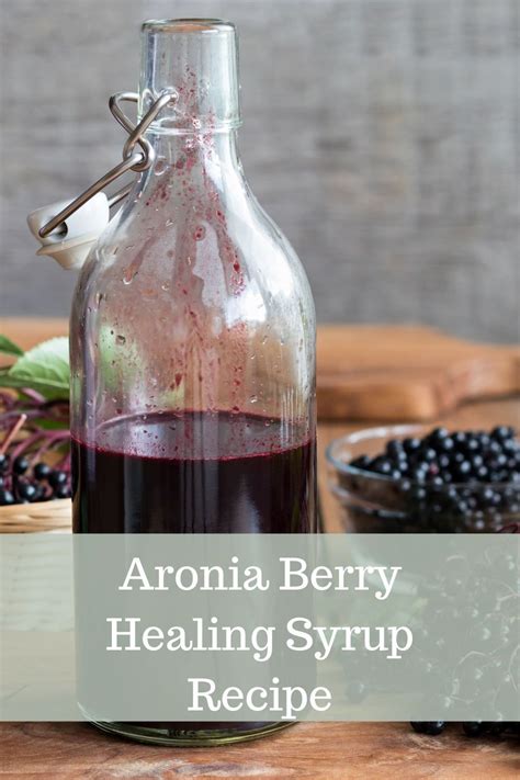 Make Aronia Berry a Part of Your Health-Wellness Protocol | Recipe ...