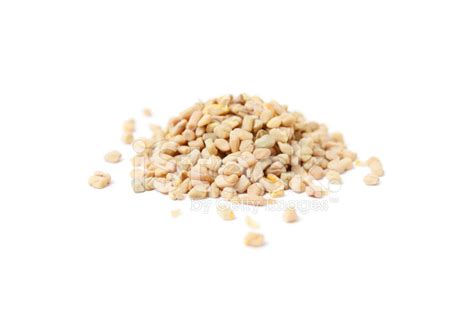 Fenugreek Seeds Stock Photo | Royalty-Free | FreeImages