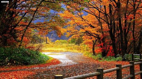 Gambar Musim Gugur Yang Indah | Scenery wallpaper, Autumn landscape ...