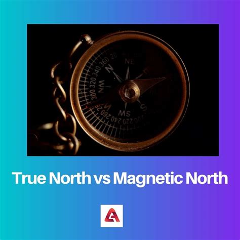 True North vs Magnetic North: Difference and Comparison