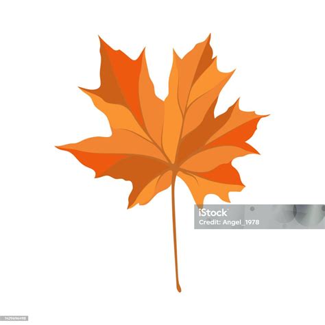 Autumn Maple Leaf Stock Illustration - Download Image Now - Abstract ...