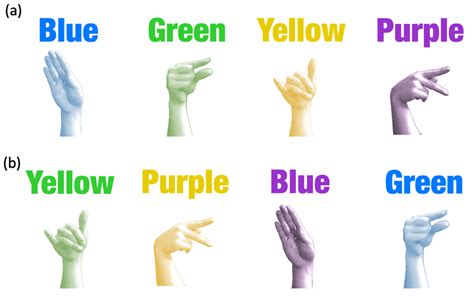 American Sign Language Colors