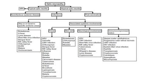 Differential Diagnosis of Disc Edema