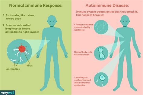 Autoimmune Diseases: Types, Causes, Diagnosis, & Treatment