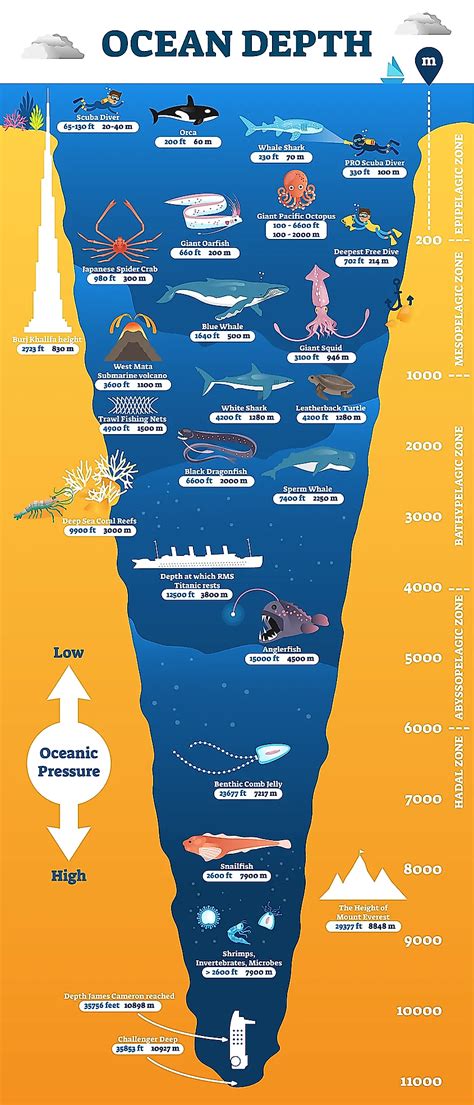 The Ocean Zones - WorldAtlas