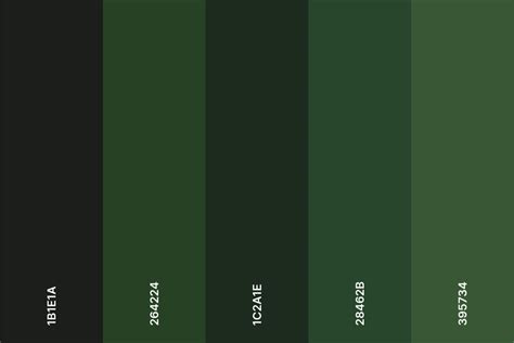 237+ Shades of Green Color (Names, HEX, RGB, & CMYK Codes ...